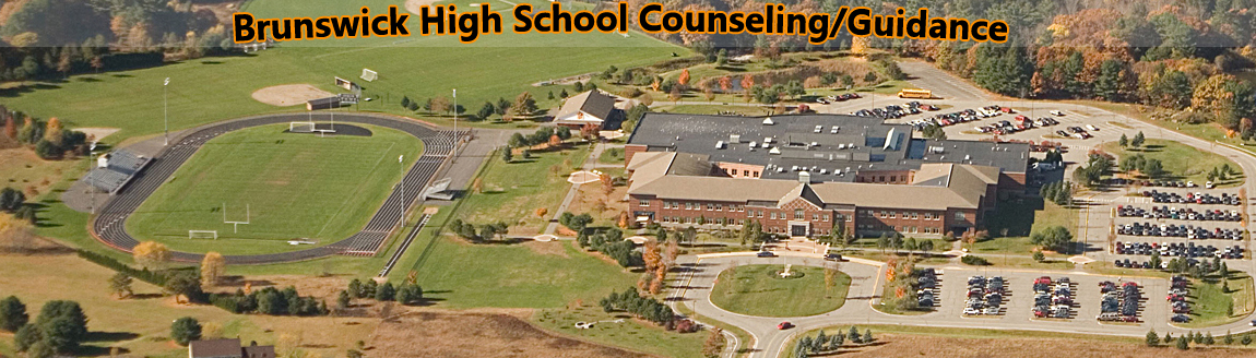 BHS Counseling