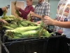 photo-3