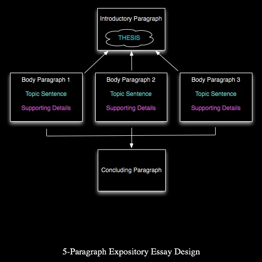 Different kinds/types of essay